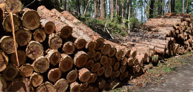 林業就業支援ナビ